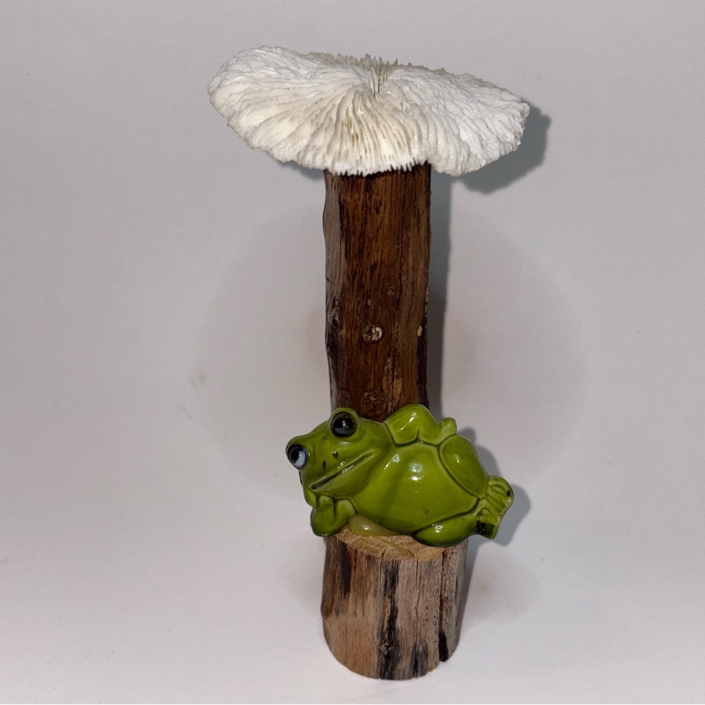 Vintage Magic Mushroom Frog Figure on Driftwood w/Coral Mushroom MCM Kitch
